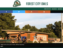 Tablet Screenshot of forestcitybaseball.com